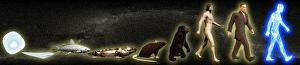 Cybernetic Evolution Print: A Sequence of Life Forms