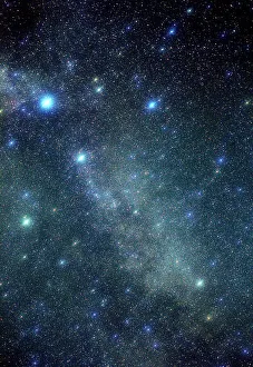 Cygnus Constellation Prints: Cygnus constellation