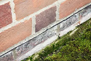 Damp-proofing in a house Print