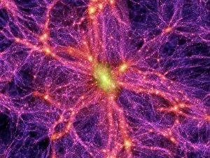 Prints of Dark matter distribution. Image 3 of 4. Supercomputer simulation, known as the Millennium Run, showing the distribution of dark matter in the local universe Images Dated 2006 June: Dark matter distribution print, 63 megaparsecs across