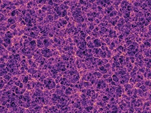 Prints of Dark matter distribution. Image 1 of 4. Supercomputer simulation, known as the Millennium Run, showing the distribution of dark matter in the local universe Images Dated 2006 June: Dark Matter Distribution Print