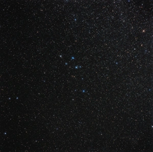Space Astronomy Images Prints: Delphinus constellation