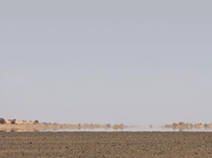Prints of A mirage is a naturally occurring optical phenomenon in which light rays are bent to produce a displaced image of distant objects or the sky Images Dated 2011 May: Desert Mirage Print