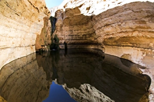 Desert Oasis Prints: Desert oasis