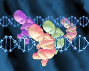Deoxyribonucleic Acid (DNA) Prints: Designer babies