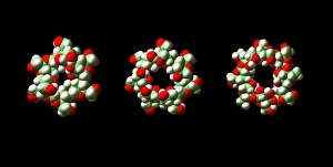 Cyclodextrin Molecular Models Print