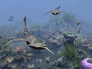 Devonian Period Fossils Prints: Devonian sea, artwork
