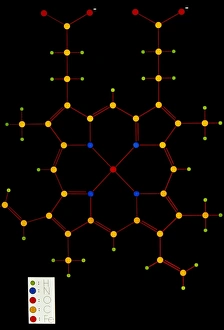 Diagram showing the structure of the haem group Diagram showing the structure of the haem group