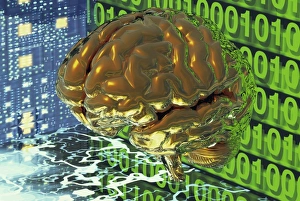 Digital Brain Print: A Conceptual Computer Artwork of a Virtual Human Brain