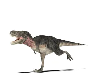 Prints of Tarbosaurus dinosaur. Computer artwork of an Tarbosaurus, a large bipedal predator belonging to the same family as Tyrannosaurus Rex (Tyrannosauridae) Images Dated 2009 October: Tarbosaurus Dinosaur Print