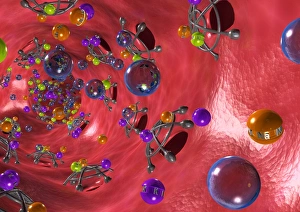 Prints of Diuretic effect. Computer artwork of the effect of diuretics (grey barriers) on a renal tubule (red) inside the kidney Images Dated 2007 November: Diuretic effect Print