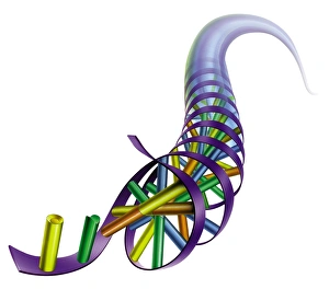 DNA artwork DNA artwork