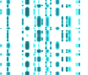 DNA Prints: DNA Autoradiogram Print