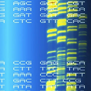 Deoxyribonucleic Acid Structure Prints: DNA autoradiogram and codons