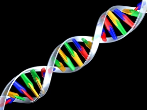 DNA Double Helix Print
