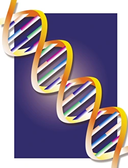 Computer Artwork Of DNA Prints: DNA