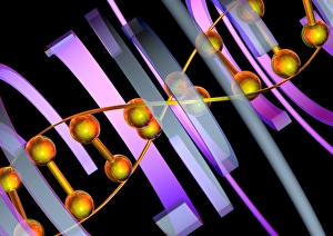 DNA DNA