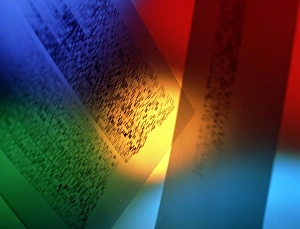 DNA fingerprints: banding on DNA autoradiograms DNA fingerprints: banding on DNA autoradiograms