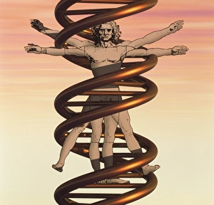 DNA and human body DNA and human body