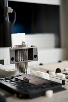 DNA MassARRAY Analysis Print