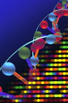 Double Helix Structure Prints: DNA microarray and double helix