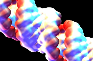 Computer Generated DNA Image Prints: DNA molecular surface