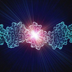 DNA Prints: DNA Molecule Print