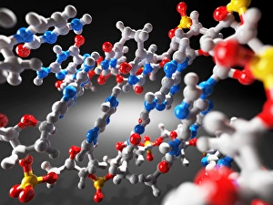 DNA Molecule Print