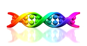 Double Helix Structure Prints: DNA molecule, artwork C013 / 4687