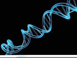 Double Helix Structure Prints: DNA molecule, artwork C013 / 9975