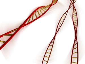 Computer Artwork Of DNA Prints: DNA molecules, computer artwork
