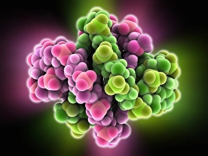Deoxyribonucleic Acid Models Prints: DNA quadruplex, molecular model