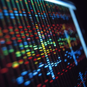 DNA sequence on a computer monitor screen DNA sequence on a computer monitor screen