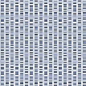Genetic Code Explanation Prints: DNA sequences