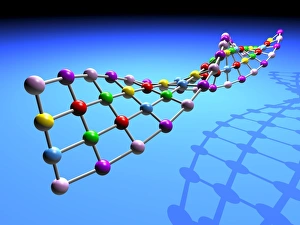 DNA Structure Prints: DNA structure