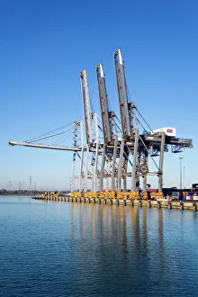 Prints of Dockside cranes. These cranes are designed for high-speed loading and unloading of containers. The container system is an efficient means of transporting many and varied types of cargo Images Dated 2008 July: Dockside Crane Print: High-Speed Container Loading