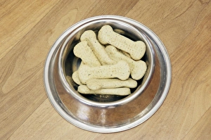 Framed Print : Dog biscuits Print Framed Print : Dog biscuits Print