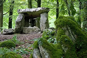 Prints of Dolmen at the Craggaunowen Project in County Clare, Ireland. A dolmen, also known as a portal tomb, is a single chamber megalithic tomb Megalithic Prints: Dolmen at Craggaunowen Project Print