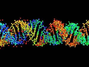 DNA Prints: Double-stranded RNA molecule Print