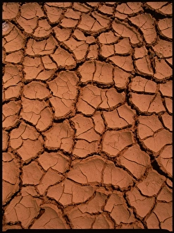 Dried Mud Print - Cracked Earth Pattern