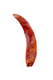 Spicy Food Ingredient Prints: Dried red chilli pepper