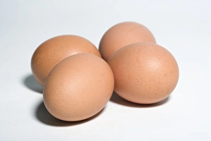Egg Nutrition Facts Prints: Eggs