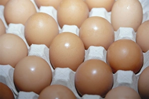 Egg Nutrition Facts Prints: Eggs