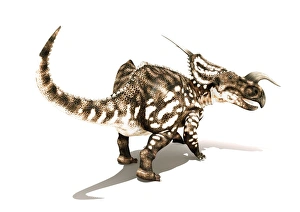 Computer Artwork Of Dinosaurs Prints: Einiosaurus dinosaur, artwork