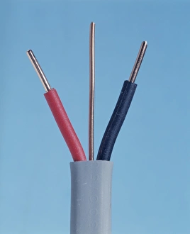 Prints of Electrical cable. Cutaway end of a two-core and earth electrical cable. The neutral (black) and live (red) wires are individually insulated. The earth wire is not Images Dated 2004 July: Cutaway end of a two-core electrical cable print