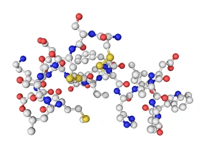 Heart Disease Risk Factors Prints: Endothelin-1 molecule