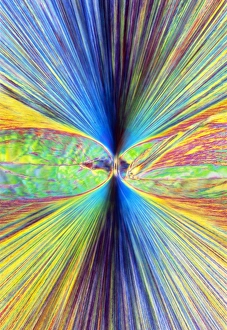 Prints of Enkephalin crystals, polarised light micrograph. Enkephalin is an endorphin found in the human brain Images Dated 2009 January: Enkephalin Crystals Print, Polarised Light Micrograph
