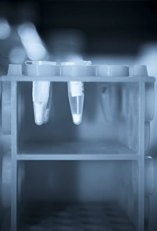 Eppendorf Tube Print