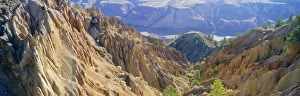 Erosion In Nature Prints: Eroded landscape