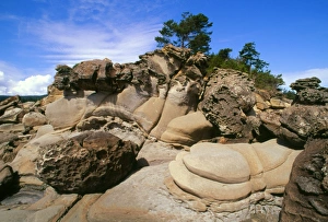 Eroded Sandstone Prints: Eroded sandstone rocks